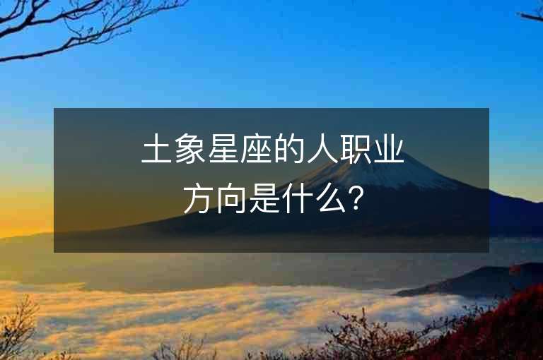 土象星座的人職業方向是什么？