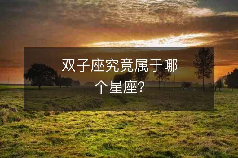 雙子座究竟屬于哪個星座？