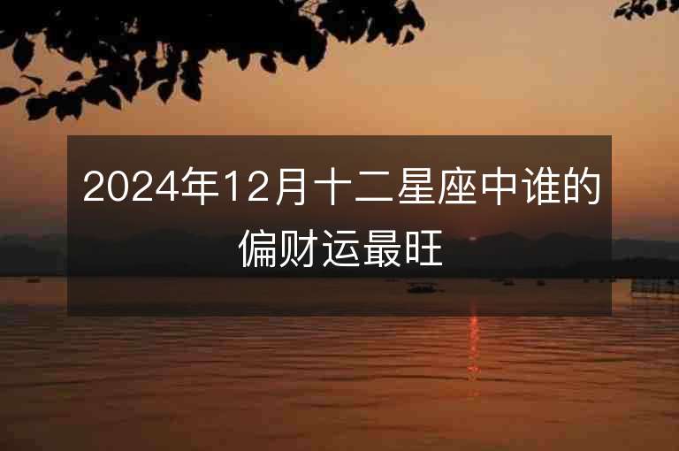 2024年12月十二星座中誰的偏財運最旺