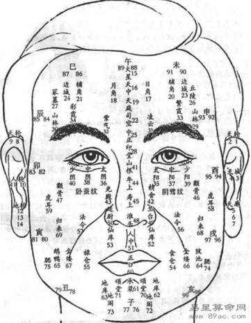 面相圖解百歲行運斷法(1-11歲)