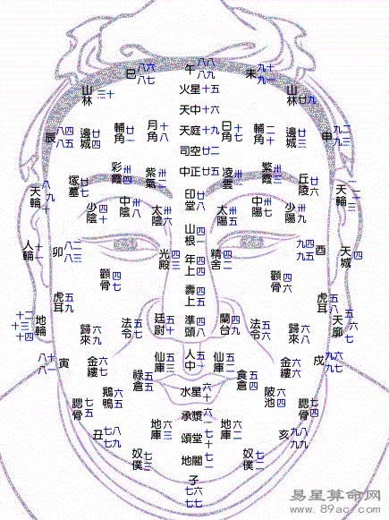 百歲流年圖注解,面相流年運勢