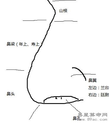 面相看矮鼻梁山根低的女人