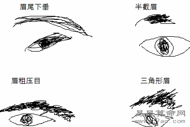 眉毛面相看出你的感情大全