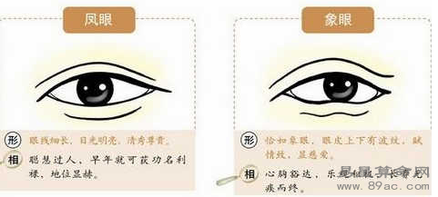 面相眼睛預(yù)測(cè)吉兇禍福